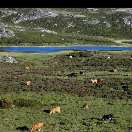 Casa Mariana Privat bolig Lubián