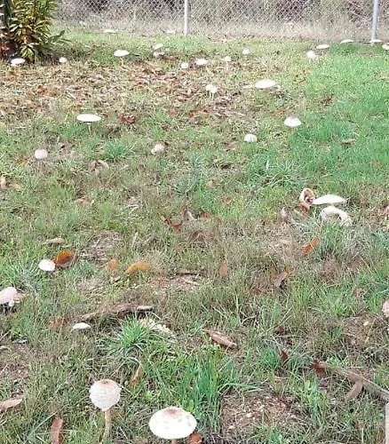 Casa Mariana Séjour chez l'habitant