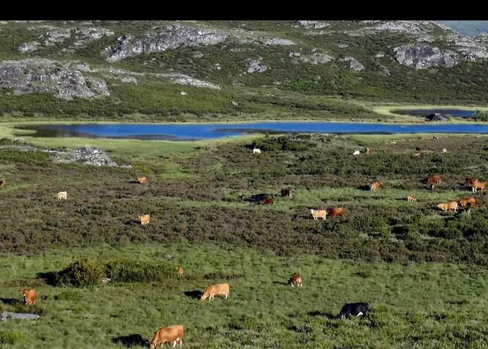 Casa Mariana Séjour chez l'habitant Lubián